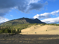 The Yukon's Carcross Desert